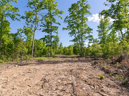 $999 Down Missouri Land/No Credit : Hartshorn : Texas County : Missouri