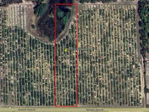 Mammoth Grove Road Lot 7 : Lake Wales : Polk County : Florida