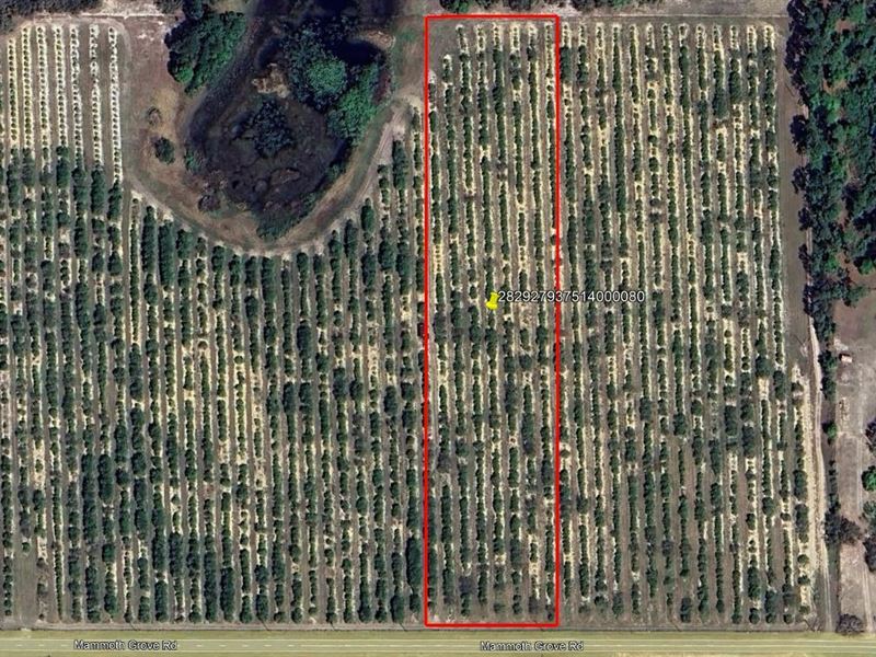 Mammoth Grove Road Lot 8 : Lake Wales : Polk County : Florida