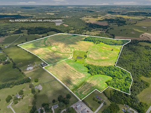 Beautiful Farm Land with Views : Hopkinsville : Christian County : Kentucky