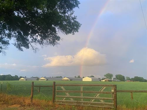 80 Acre Broiler Cattle Horse Farm : Winthrop : Little River County : Arkansas