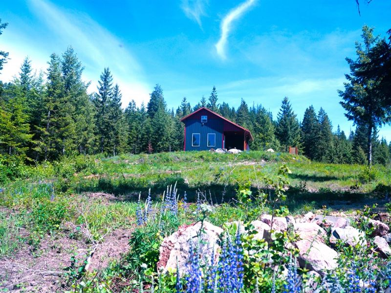 Wild in The Outback : Usk : Pend Oreille County : Washington