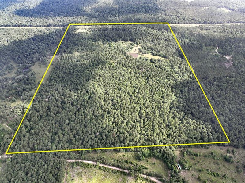 155 Acres, Old Staley Road : Huntsville : San Jacinto County : Texas