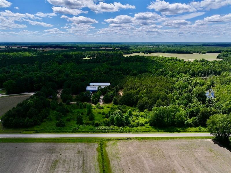 20.27 Acres of Ti : Scotland Neck : Halifax County : North Carolina