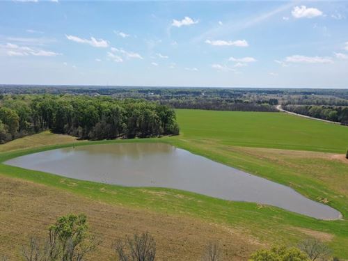 7 Acre Homesite Opportunity in Pike : Pike Road : Montgomery County : Alabama