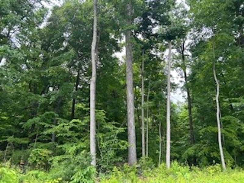 Land for Sale Putnam County, IN 9 : Reelsville : Putnam County : Indiana