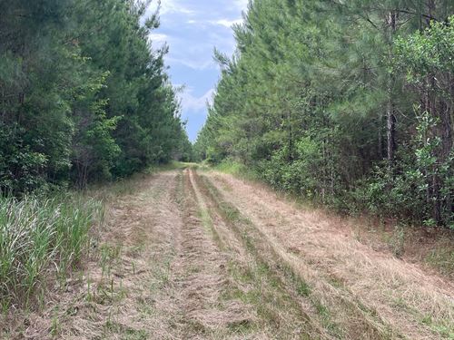 110 Acre Recreation Tract Baldwi : Perdido : Baldwin County : Alabama