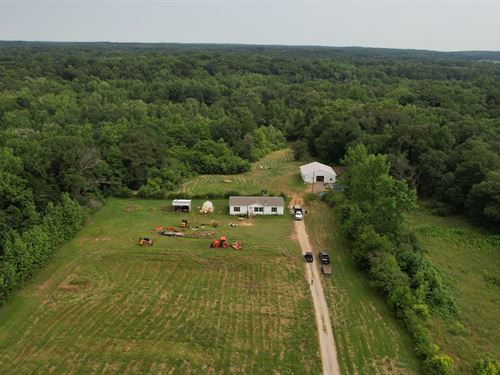 53 Acre Homestead Morgan Co. AL : Danville : Morgan County : Alabama