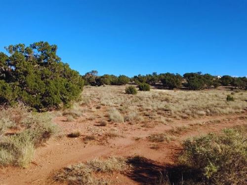 Mixed Use Zoning $375-$550/Mo : Snowflake : Navajo County : Arizona