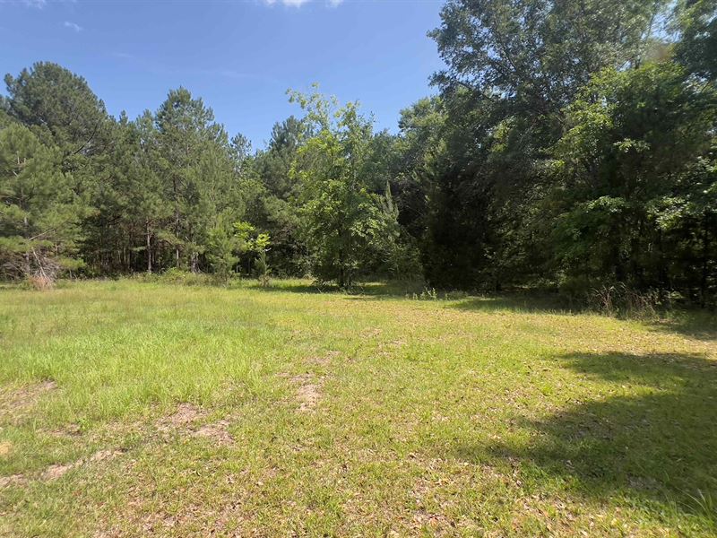 11.4 Acres in Wayne, GA : Jesup : Wayne County : Georgia