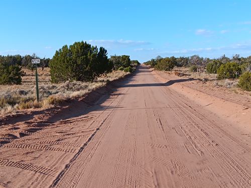Adjacent Lots Up to 4.94 Acres : Chambers : Apache County : Arizona