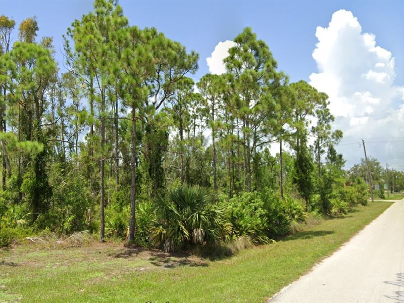 Warm Weather Land Yours at $391/Mo : Punta Gorda : Charlotte County : Florida