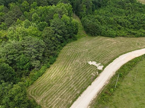 Rural 3.5 Ac. Lot Collinsville, AL : Collinsville : Dekalb County : Alabama