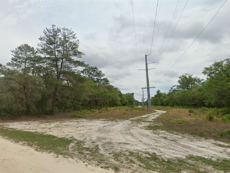 Satsuma Land Steal Just $199 Down : Satsuma : Putnam County : Florida