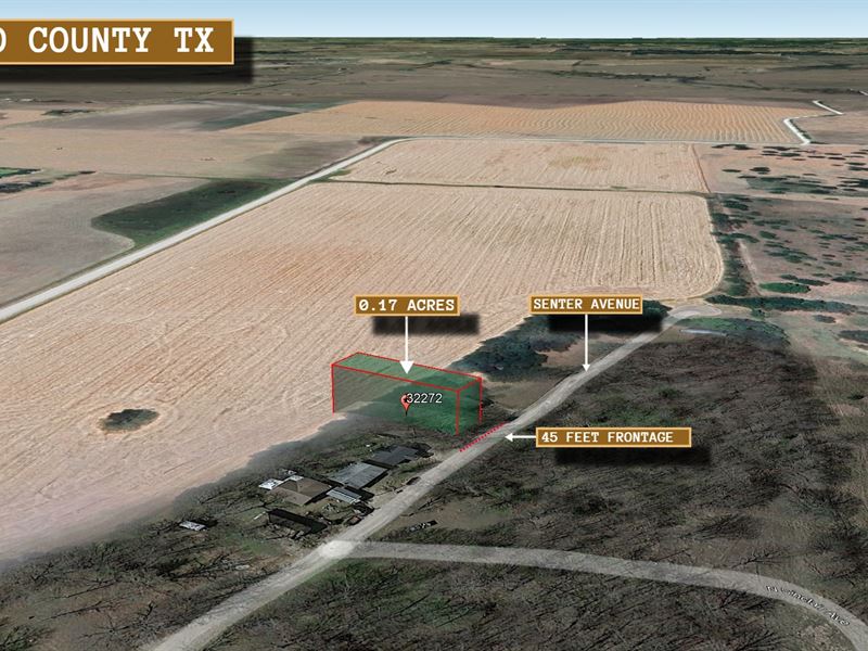 .17 Acre in Kerens, $350 a Month : Kerens : Navarro County : Texas