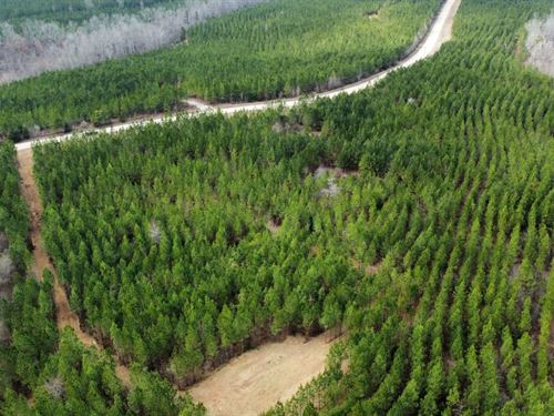 49 Acres Harris Co GA : Waverly Hall : Harris County : Georgia