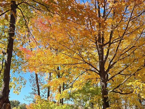 Side by Side Lots $125-$250/Mo : Cushing : Morrison County : Minnesota