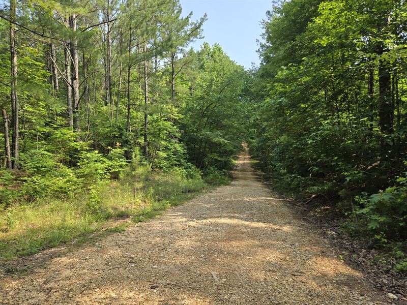 Freedom Hills Project : Pleasant Site : Franklin County : Alabama