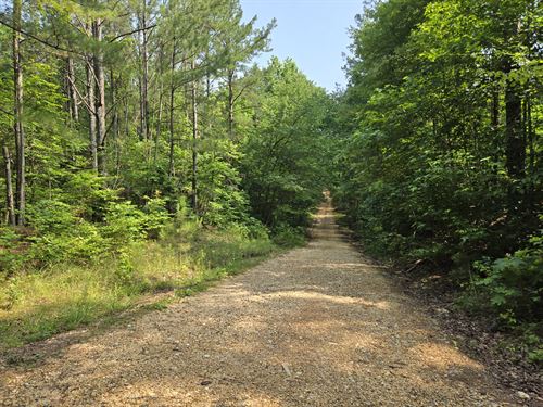 Freedom Hills Project : Pleasant Site : Franklin County : Alabama