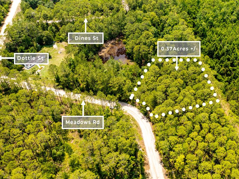 Land for Sale Putnam, FL : Interlachen : Putnam County : Florida