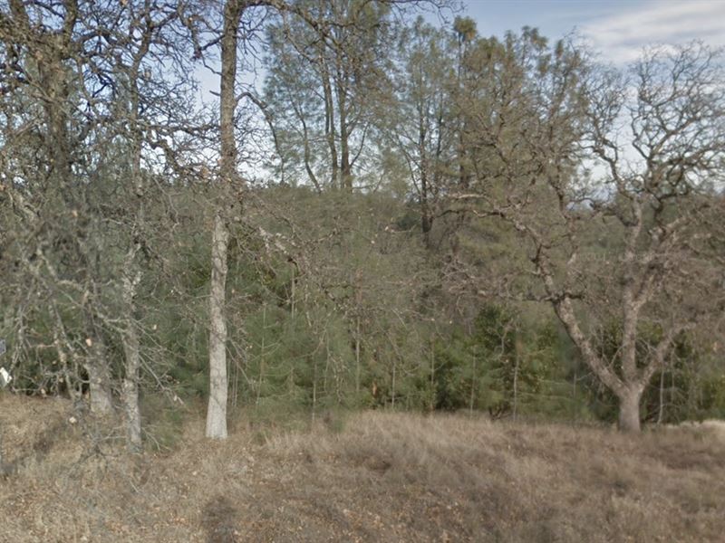 Land Galore, Grab It Before Gone : Corning : Tehama County : California