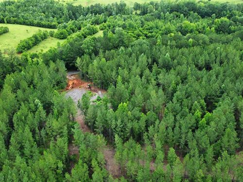 6 Acres Tallapoosa Co : Dadeville : Tallapoosa County : Alabama