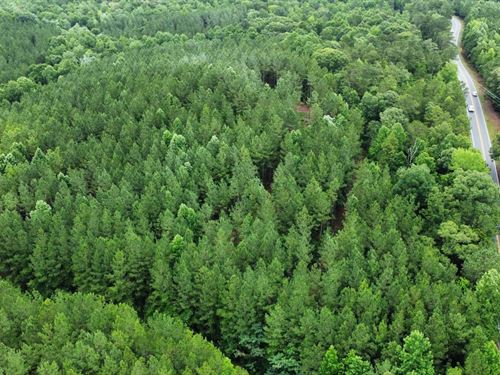 12 Acres Near Lake Martin, AL : Dadeville : Tallapoosa County : Alabama