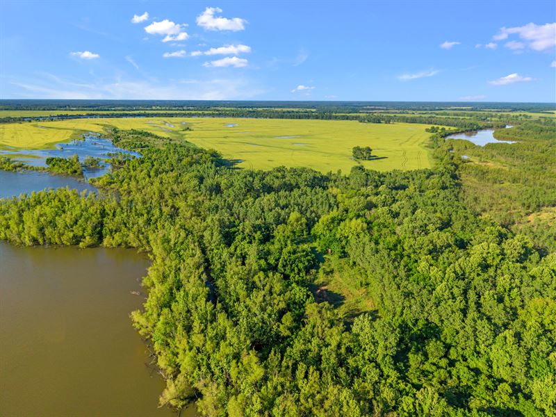 Duck Island : Bagwell : Red River County : Texas