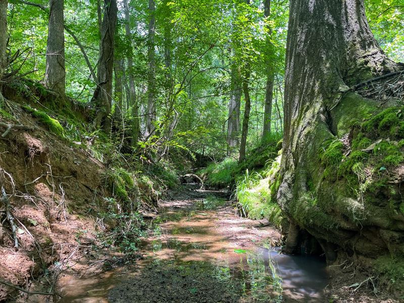 Hinds County, 87.91 Acres : Jackson : Hinds County : Mississippi