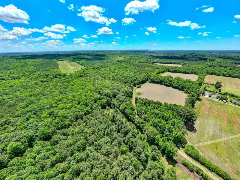 57.96 Acre Secluded Timber Property : Zebulon : Wake County : North Carolina