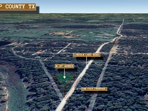 .27 Acre in Paige, $450 a Month : Paige : Bastrop County : Texas