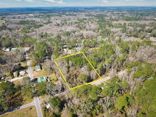 Affordable 1 Acre Greenville FL Lot : Greenville : Madison County : Florida