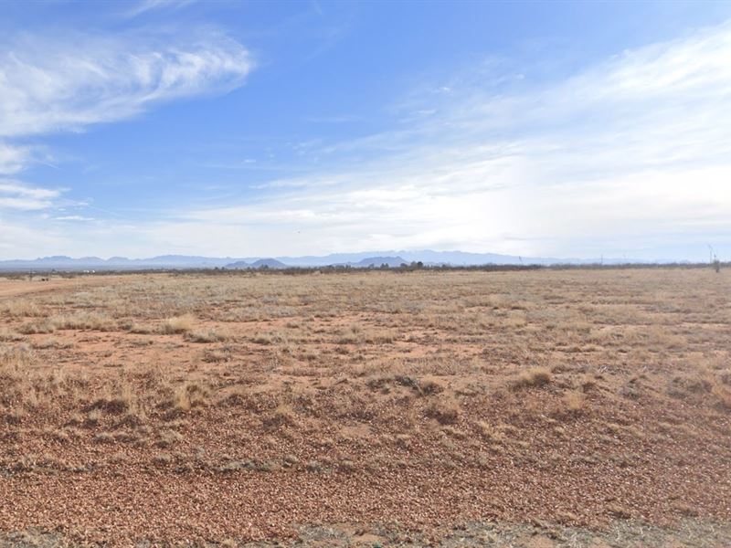 Your Private 1.07 Acre Oasis in AZ : Sunsites : Cochise County : Arizona