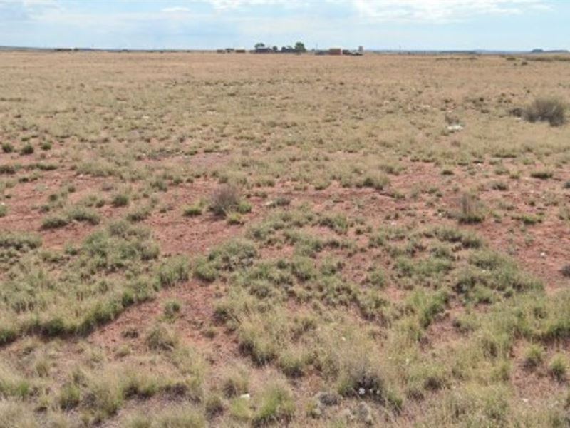 1.3 Acres in Navajo, Arizona : Winslow-Holbrook : Navajo County : Arizona