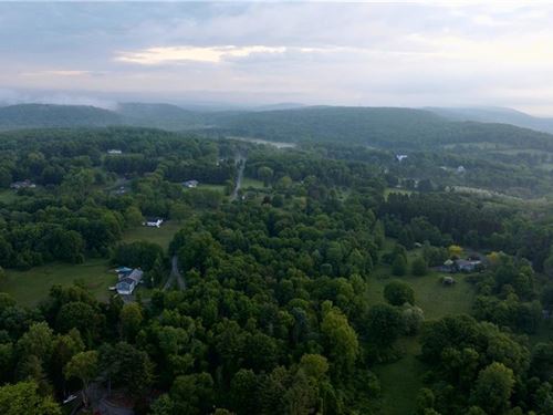 Lot 34, 4+ Acres Wooded Lot : Copake : Columbia County : New York