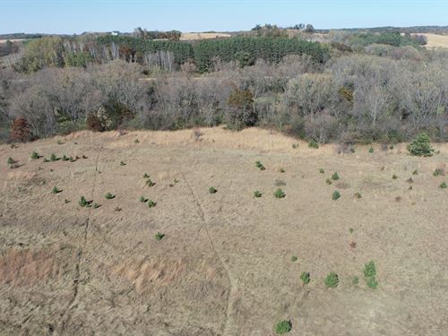33 Acres Trempealeau County : Strum : Trempealeau County : Wisconsin