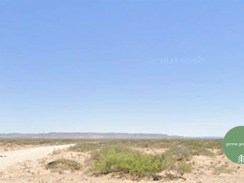 Build, Camp, or Chill on 0.23 Acres : El Paso : El Paso County : Texas