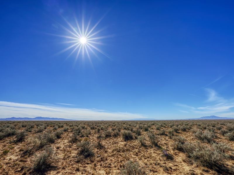 Valencia County New Mexico : Los Lunas : Valencia County : New Mexico
