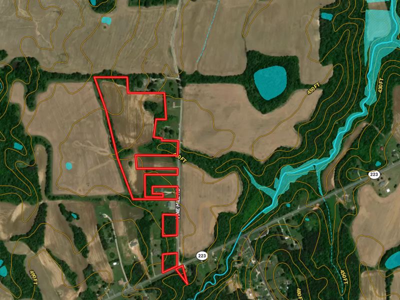 Rolling 28 Acres, Owner Financing : Huntersville : Madison County : Tennessee