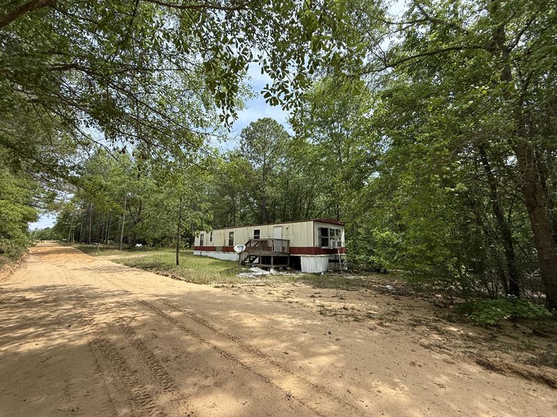 11 Acres of Trees and Nature : Barnwell : Barnwell County : South Carolina