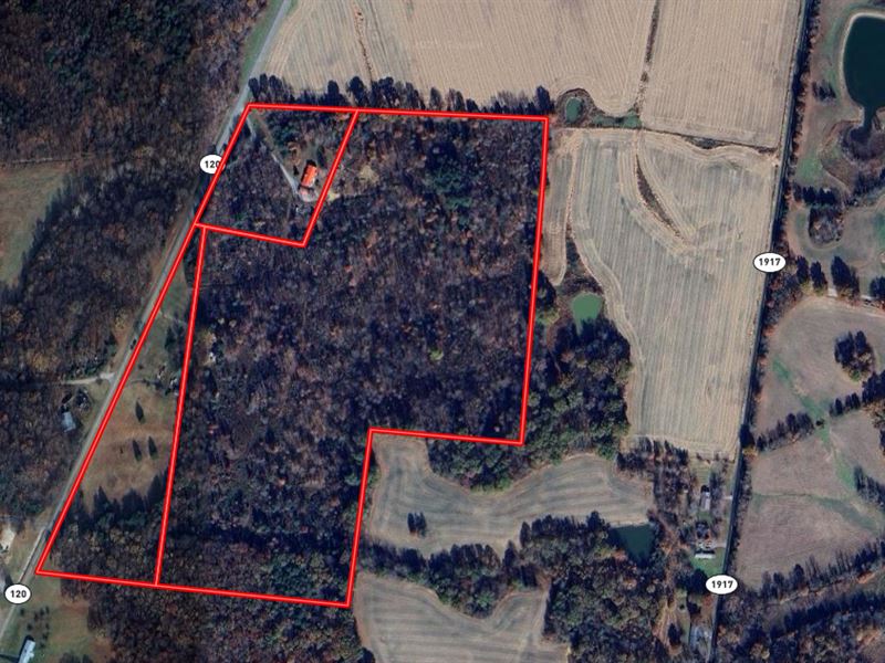 62 Acres with Utilities and Trees : Diamond : Crittenden County : Kentucky