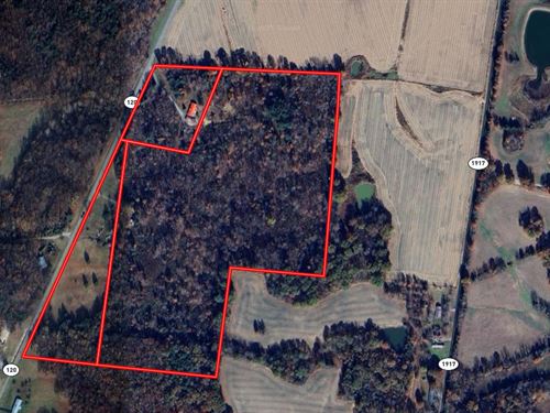 62 Acres with Utilities and Trees : Diamond : Crittenden County : Kentucky