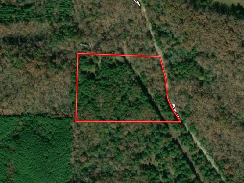 6.88 Acre with Trees in The Hills : Fountain Lake : Saline County : Arkansas