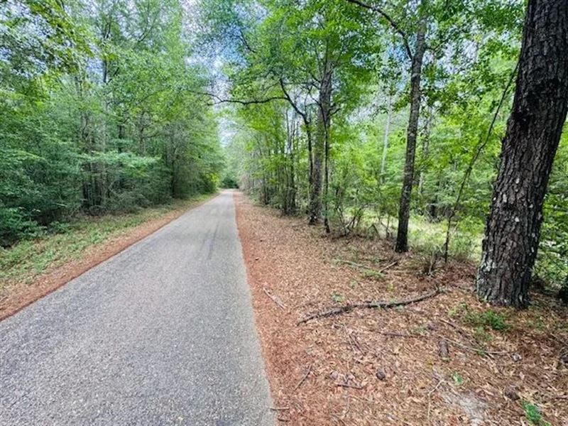 45.9 Acres / Carters Creek Road : Tylertown : Walthall County : Mississippi
