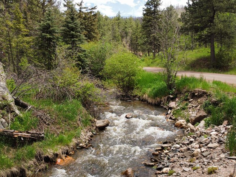 Buckhorn Creek 36 : Bellvue : Larimer County : Colorado