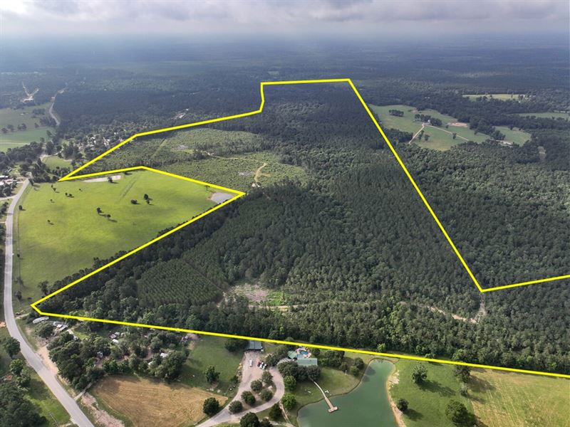 248 Acres, FM 1725 : Willis : San Jacinto County : Texas