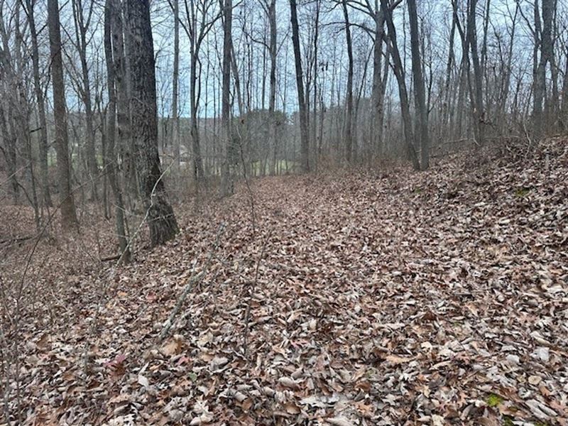 120.62 Acres Beautiful Unrestrict : Tracy City : Grundy County : Tennessee