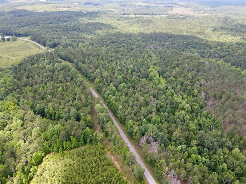 29 Acres with Homesites and Util : Cragford : Clay County : Alabama