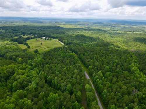 38 Acres With Homesites : Cragford : Clay County : Alabama