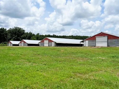 6 House Poultry Broiler Turnkey Far : Smithdale : Amite County : Mississippi